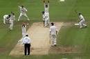 Shane Warne traps Steve Harmison lbw as England slide to defeat, England v Australia, 1st Test, Lord's, July 24