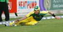 Brett Lee ruins the outfield but saves precious runs, New Zealand v Australia, 2nd ODI, Wellington, December 7, 2005