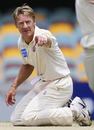 Andrew Bichel gets down on his knees, Queensland v South Australia, Pura Cup, Woolloongabba, Brisbane, February 21 2006