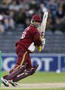 Ramnaresh Sarwan top-scored for the West Indies with 65, 
New Zealand v West Indies, 3rd ODI, Christchurch, February 25 2006