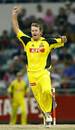Sean Ervine grabbed three wickets in Western Australia's win, Western Australia v New South Wales, KFC Twenty20 Big Bash, Perth, January 1, 2007