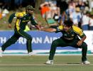 World Cup, 2003 - Netherlands v Pakistan at Paarl, 25th February 2003 World Cup, 2003 - Netherlands v Pakistan at Paarl, 25th February 2003