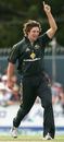 Ben Hilfenhaus celebrates his first ODI wicket, Australia v New Zealand, CB Series, 2nd match, Hobart, January 14, 2007