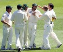 The Tasmanian team celebrate the wicket of Nick Jewell, Victoria v Tasmania, Pura Cup, Melbourne, November 10, 2007