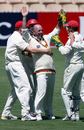 Darren Lehmann celebrates taking a wicket in his final first-class match, South Australia v Western Australia, Pura Cup, Adelaide, November 23, 2007