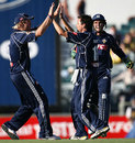 Cameron White and Bryce McGain celebrate a strike, Western Australia v Victoria, KFC Twenty20 final, January 13, 2008