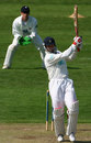 John Crawley rocks back to pull on his way to a half-century, Somerset v Hampshire, County Championship, Taunton, May 7, 2008