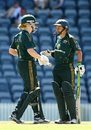 Alex Blackwell and Shelley Nitschke discuss a point, Australia Women v India Women, 5th ODI, Canberra, November 9, 2008