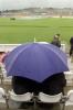 Cricket fans sit in the driving rain which has delayed the start of the Australia v Pakistan one-day game, 6th ODI at Chester-le-Street, 16 June 2001.