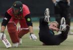 Sulzberger and Streak collide,  Zimbabwe v New Zealand, 1st one-day international, 27 Sep 2000