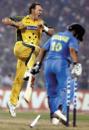 Andy Bichel celebrates after clean bowling Sachin Tendulkar, India v Australia, TVS Cup final, Kolkata, November 18, 2003