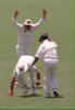 Taylor raises his arms as Mark Waugh catches Crawley The Ashes, 1998/99, 3rd Test Australia v England Adelaide Oval 11,12,13,14,15 December 1998