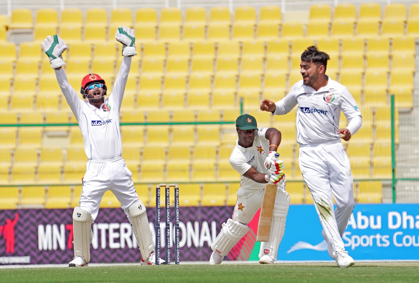 double hat trick international cricket