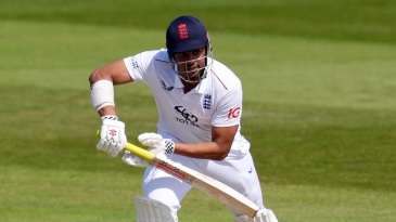 Bad light forces early stumps after Haines, Gay fifties