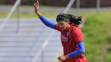 King six secures tie after Luff, Wellington give Somerset glimpse of victory