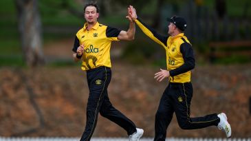 Paris’ five, Esterhuysen’s three-wicket debut help WA beat SA
