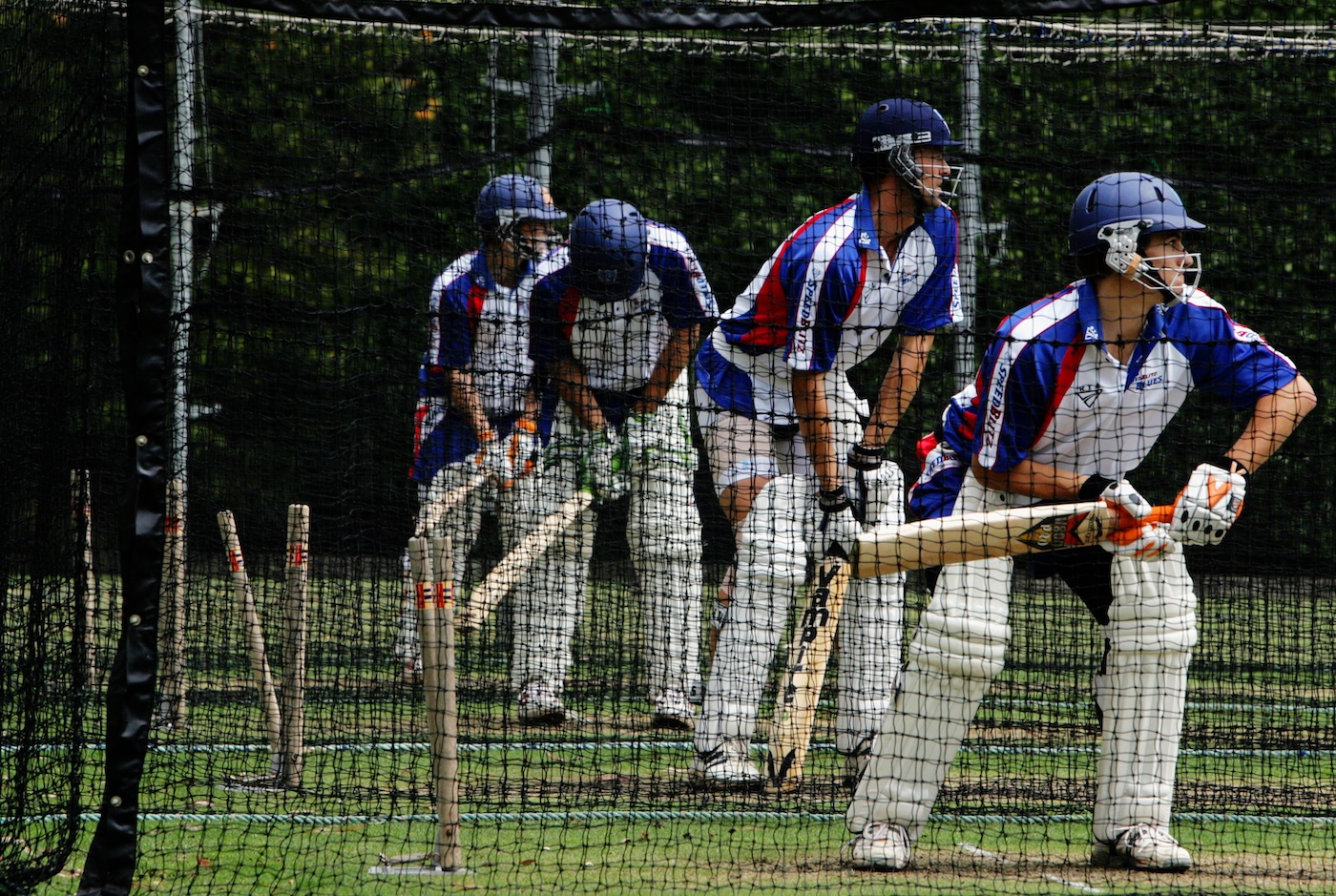 Webinar 101: many hands make net work