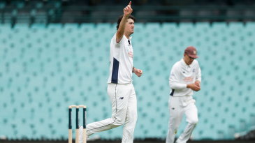 Smith stands alone as Elliott wrecks New South Wales