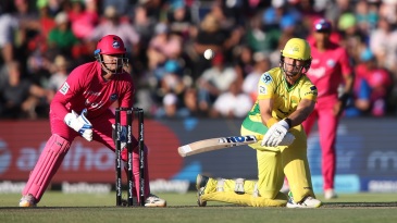 Du Plooy, spinners take Joburg Super Kings into playoffs