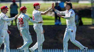 Head falls cheaply after Thornton bags career-best haul