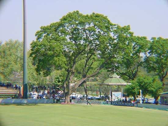 039291.jpg
